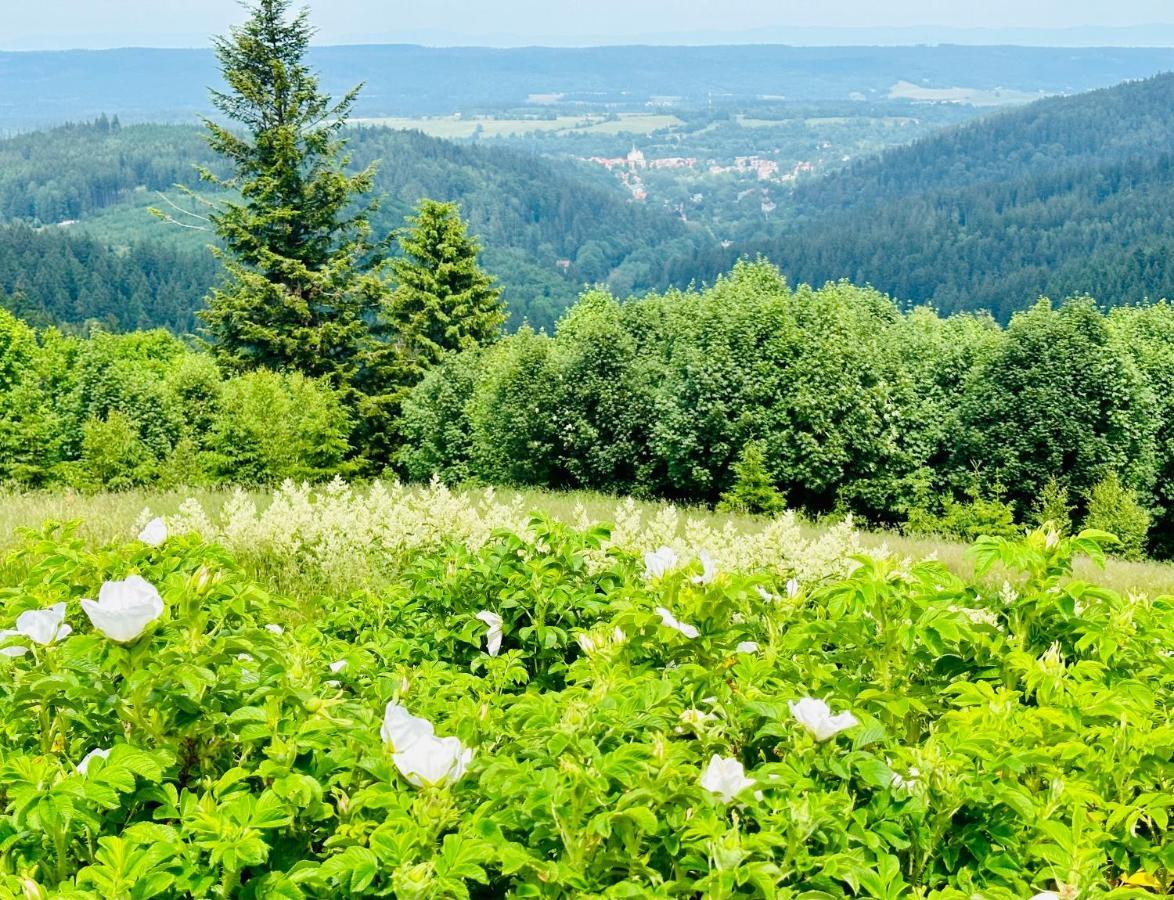 Apartamenty Innwersja Duszniki Zdrój Dış mekan fotoğraf